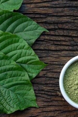 Are You Buying Kratom Online? Here Are The Top 4 Things You Should Consider!
