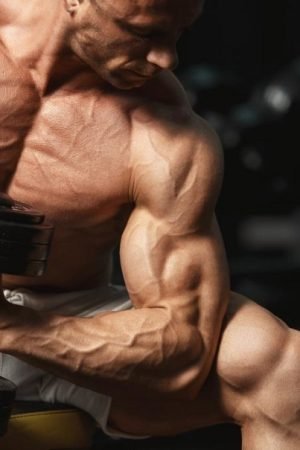 Do You Want To Buy Sarms? Check Out The Significant Details Here!