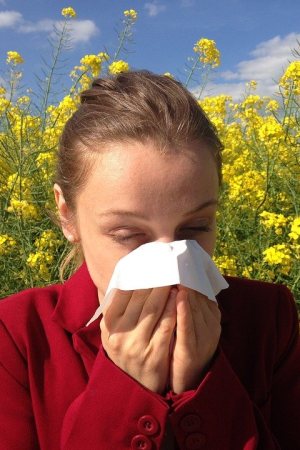 You Do Not Have to Suffer from Allergies!