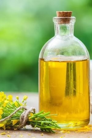 Best oil for fat loss
