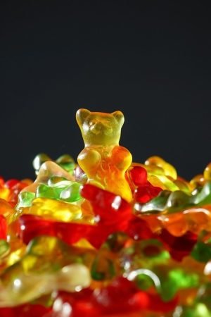 WHAT IS GELATIN MADE FROM?