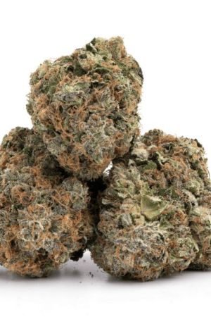 How to Choose the Right Mail Order Marijuana for Your Needs