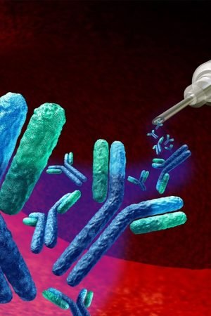 Recombinant Antibodies: A Breakthrough in Therapeutics and Research