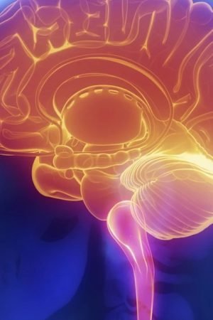 The Impact of HRT on Cognitive Function: Can Hormones Protect the Aging Brain?