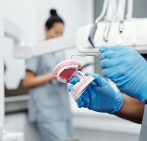 Dentist holding a dental model and scaler in a clinic for oral hygiene demonstration. — The Best Teeth Whitening Kits You Can