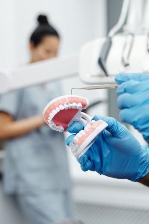 Dentist holding a dental model and scaler in a clinic for oral hygiene demonstration. — The Best Teeth Whitening Kits You Can