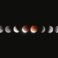 Phases of the moon against a dark background