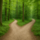 A forest path diverges into two, symbolizing choices and change in life.